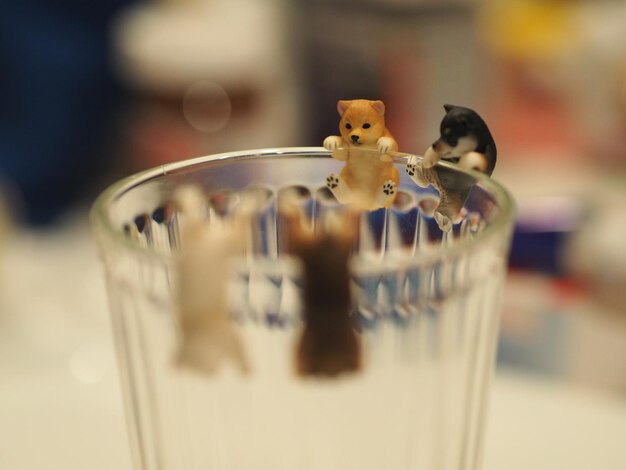 Close-up of drinking glass on table