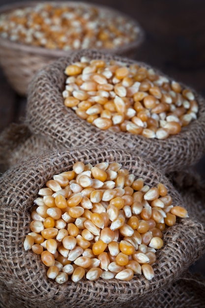 Photo close up of the dry corn kernels in hemp sacks.