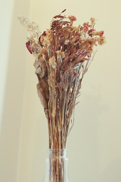 Photo close-up of dry plant in vase against wall at home