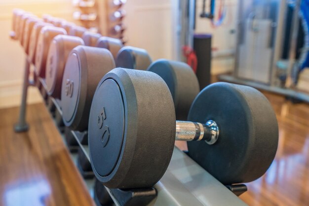 Close-up of dumbbells on rack in gym