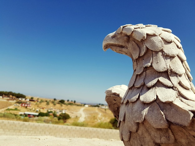 Foto close-up di una statua di aquila contro un cielo blu chiaro in una giornata di sole