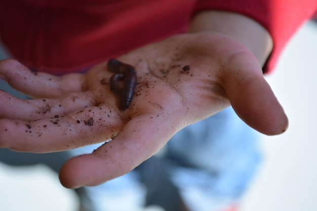 Photo close-up of earthworm in human hand