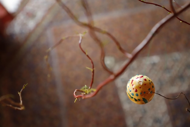 Photo close-up of easter egg on plant