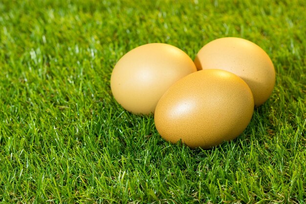 Photo close-up of easter eggs on grass