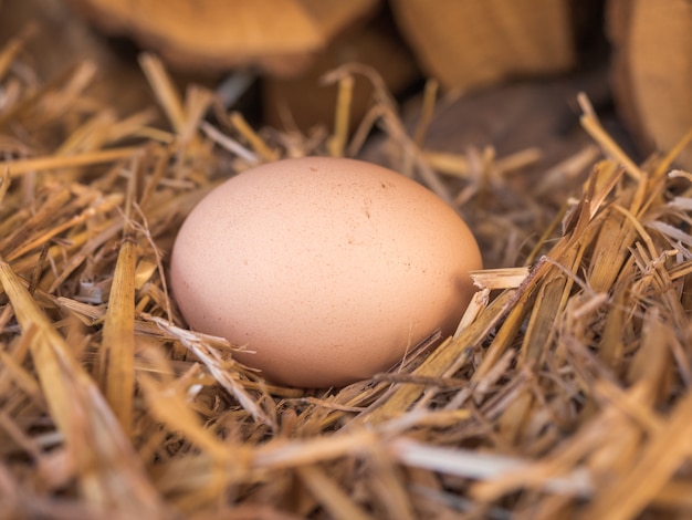 Photo close up of egg on straw