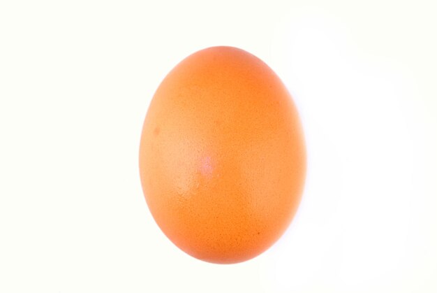 Photo close-up of egg over white background