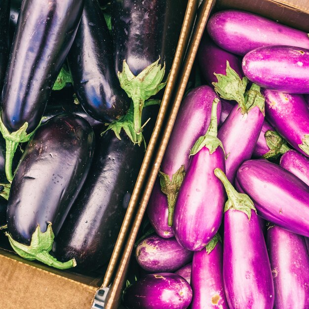 Close up of eggplants