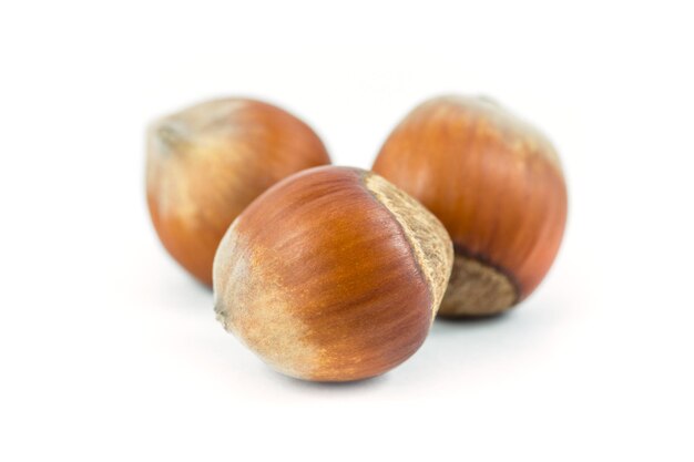 Close-up of eggs against white background