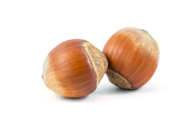 Close-up of eggs against white background