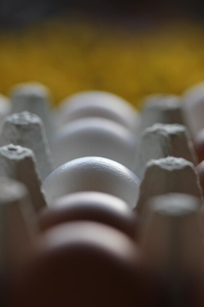 Photo close-up of eggs in carton