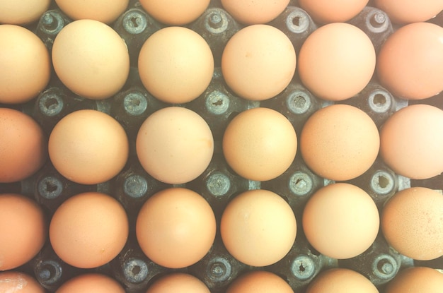Photo close-up of eggs in container