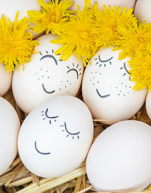 Photo close-up of eggs