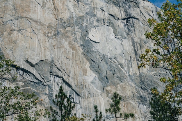 close up El Capitan in Yosemite Valley