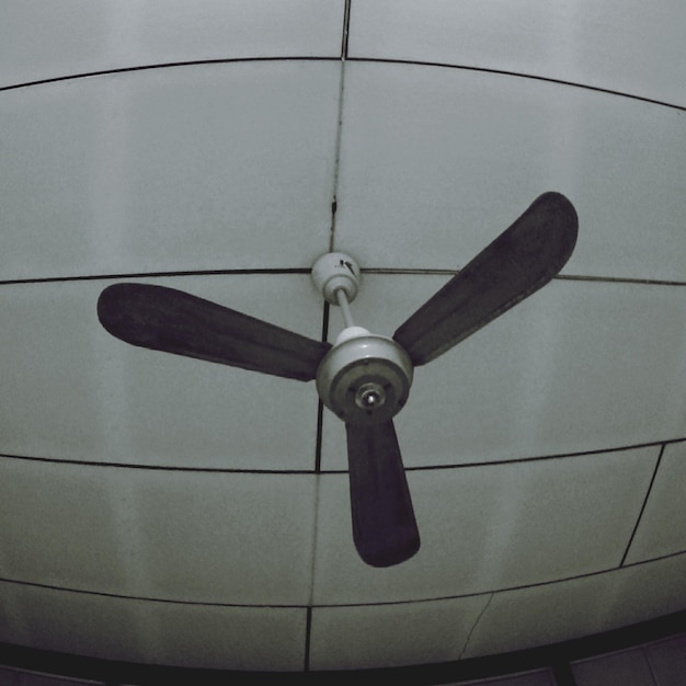 Close-up of electric fan hanging from ceiling