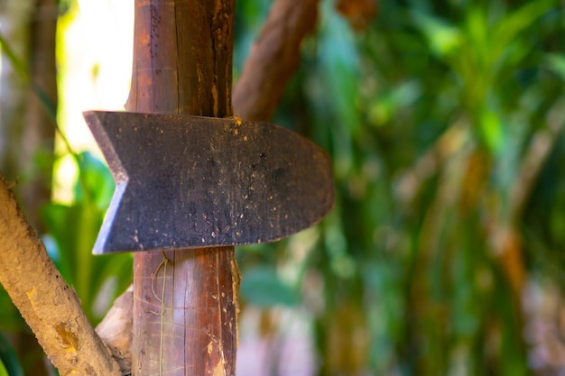 Close up of empty wood poster on wooden stick Trees and sunlight in the background