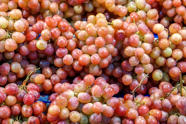 Close-up en bijsnijden van rode druiven te koop in de supermarkt