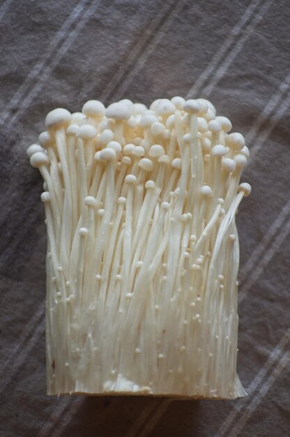 Foto close-up di enokitake sul tessile