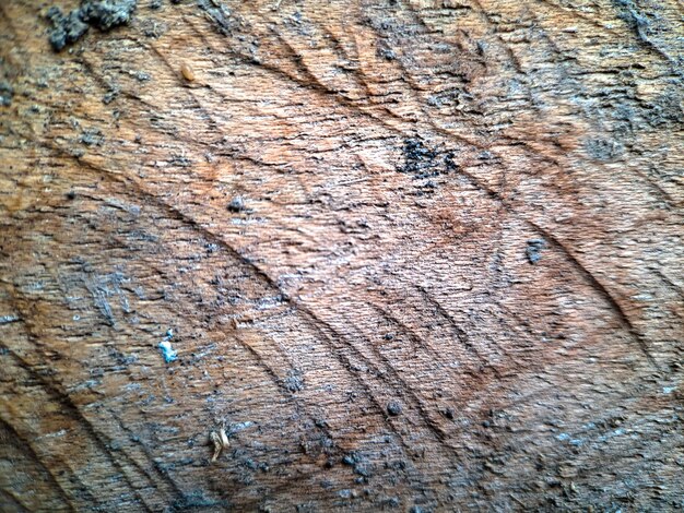 Близкий взгляд на экзотическую коричневую древесину с полосами светлых и темных цветов придает этой древесине уникальную и удивительную текстуру