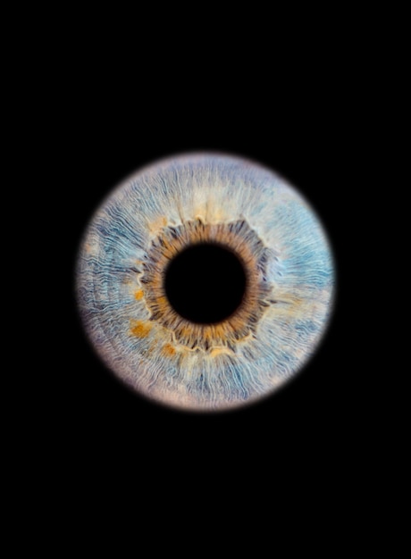 close up of an eye iris on black wall