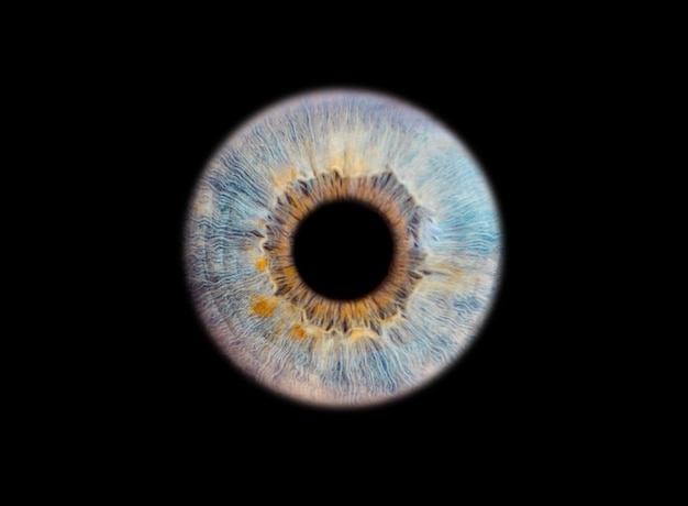 close up of an eye iris on black wall