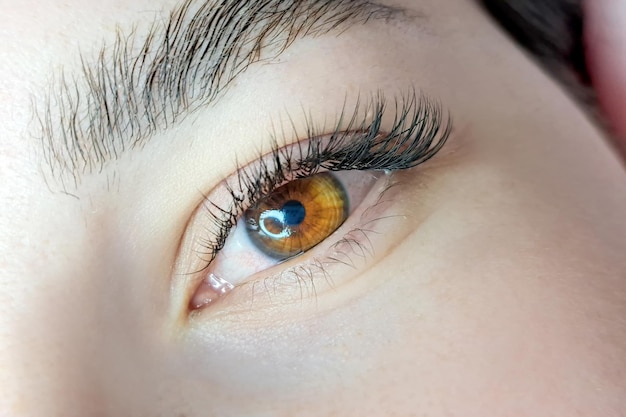 Close up of eye with eyelash extensions beauty salon treatment