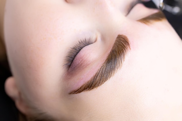 A close-up of the eyebrows of a young model on which hair coloring paints were applied after the lamination procedure