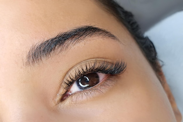 Photo close up of eyelash extensions in beauty salon