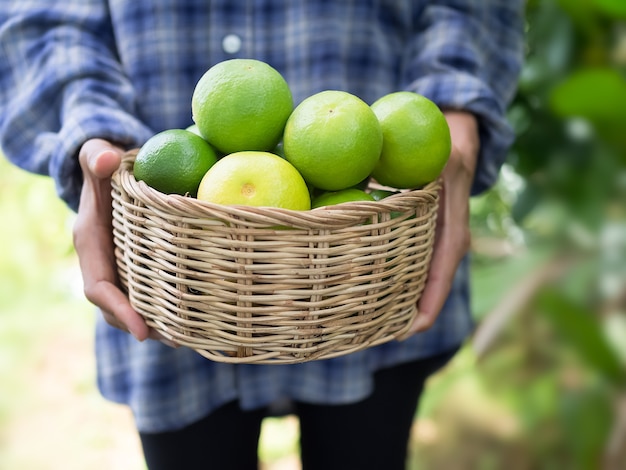 シャツと籐のバスケットに緑のライムの有機野菜を保持している農家を閉じます。現代農業