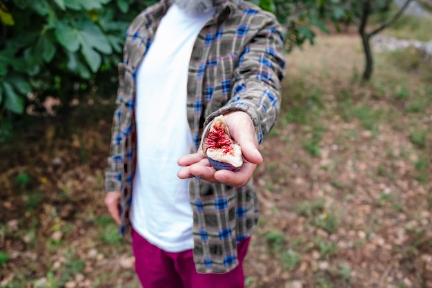 Close up of farmer showing quality of ripe fig fruit