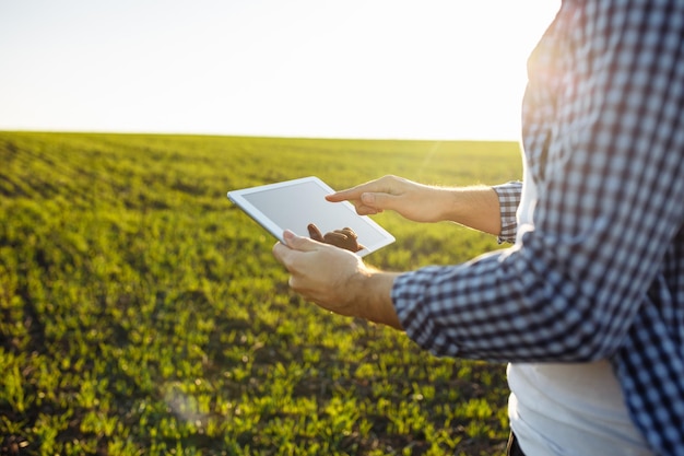 Photo close up of the farmer transferring data from the field with tablet. agronomist checks the quality and progress of the new seeding and sends information for the future analysis. technology concept.