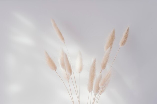 Photo close-up of feather against sky