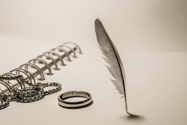 Photo close-up of feather on table