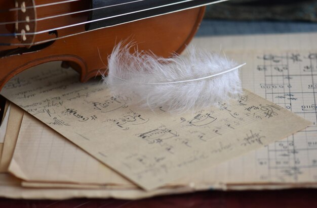 Close-up of feather and violin on music sheets