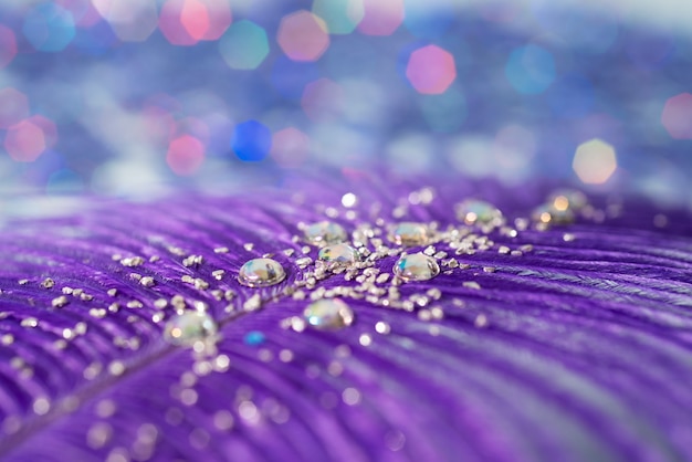 Photo close up on feather with confetti, sparks and glitter