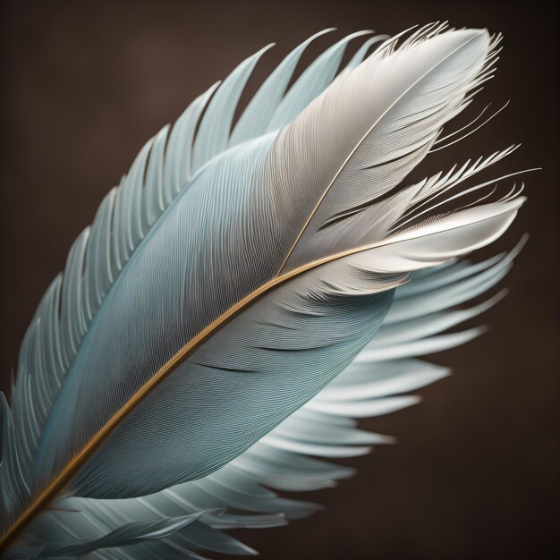 A close up of a feather with a dark background.