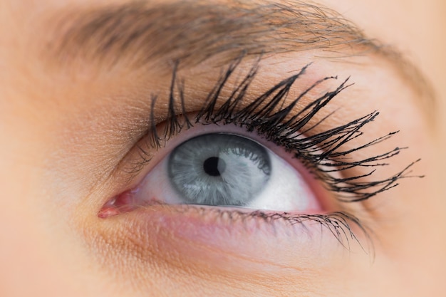 Close up of female blue eye