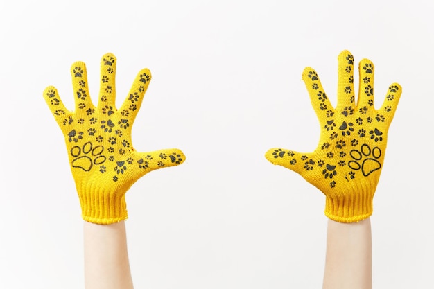 Close up of female hands in building yellow gloves with fun print isolated on white background. Accessories, tools for renovation apartment room. Repair home concept. Copy space for advertisement.