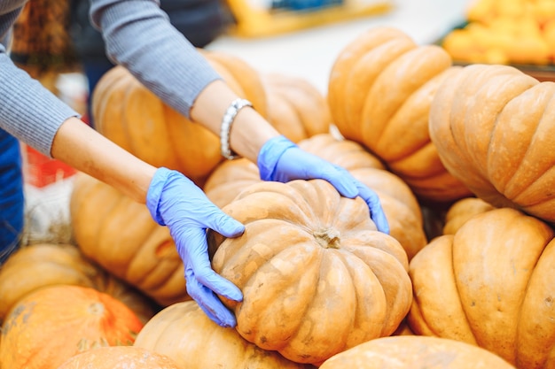 Photo close-up of female hands in gloves choosing a pumpkin in the market or in the store.