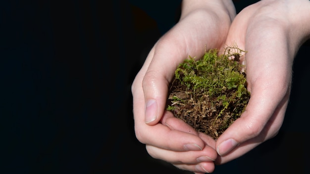 Close-up female hands holding a lump of moss on a dark background. Environmental care concept