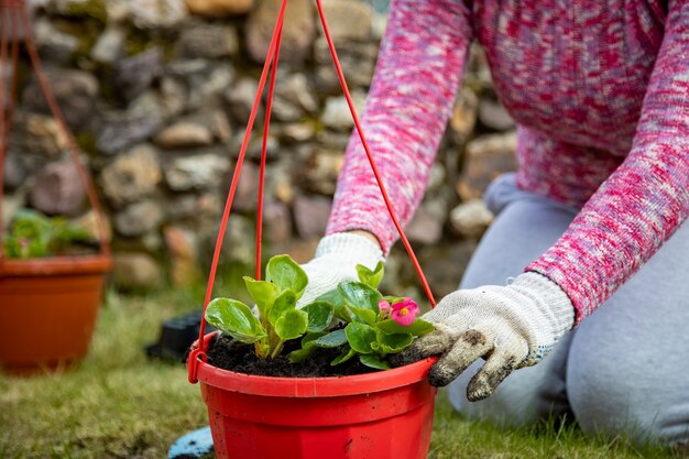 緑の牧草地の屋外ポットに花を植える家庭用手袋の女性の手のクローズアップ。顔なし