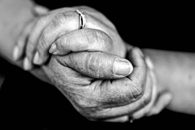 Photo close-up of female hands