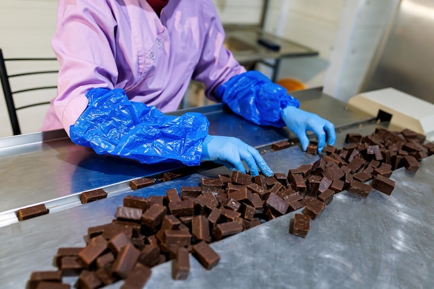 Close up of female worker hands sorts chocolate candies line production at factory