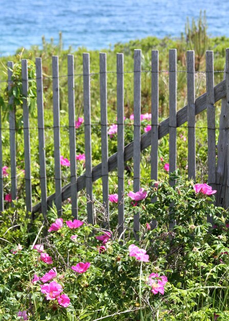 Close-up of fence by sea