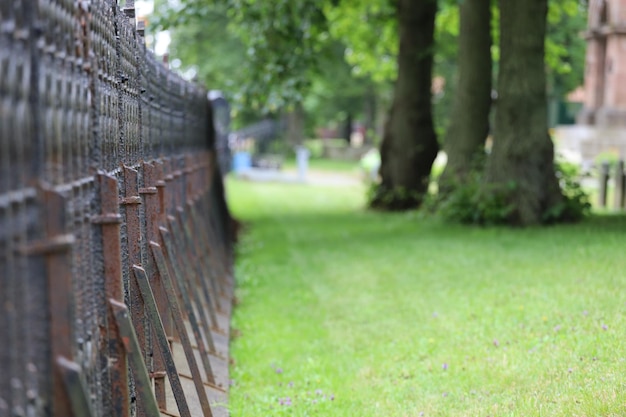 Close-up of fence on field