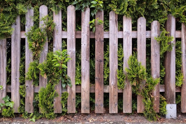 Photo close-up of fence