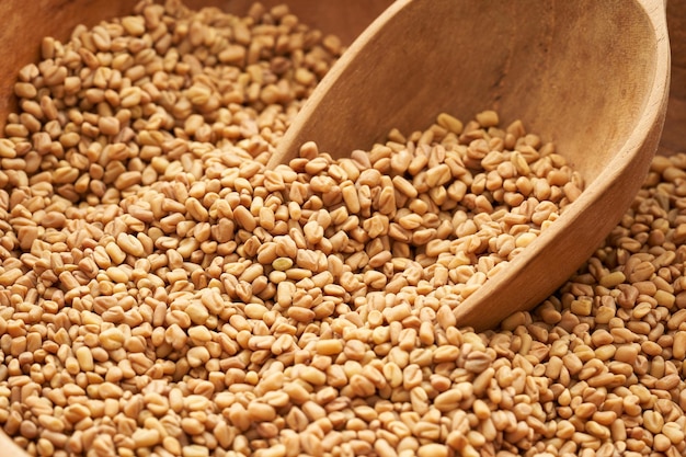 close up fenugreek seed in wood plate on the background. fenugreek seeds background