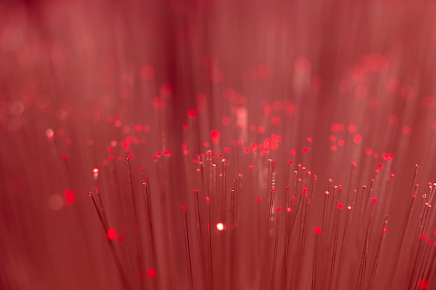 Close up on fiber optics - Shallow depth of field