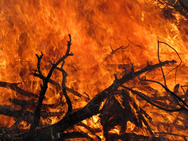 Photo close-up of fire against orange sky