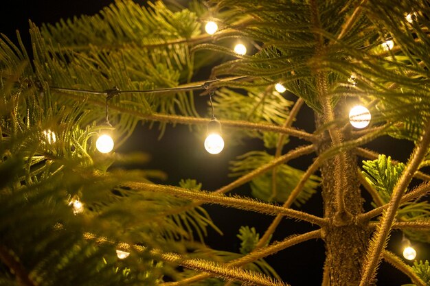 Close up of fire balls on christmas tree on blurred background new year concept