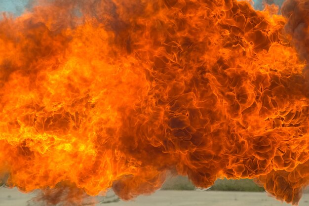 Close-up of fire crackers